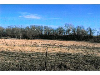 Property photo 2 - LAND AUCTION, 94+/- Acres offered in 3 Tracts